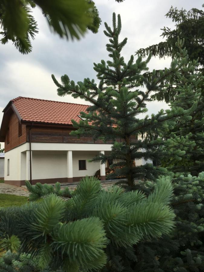 Pokoje Kasztanowa Вилкасы Экстерьер фото